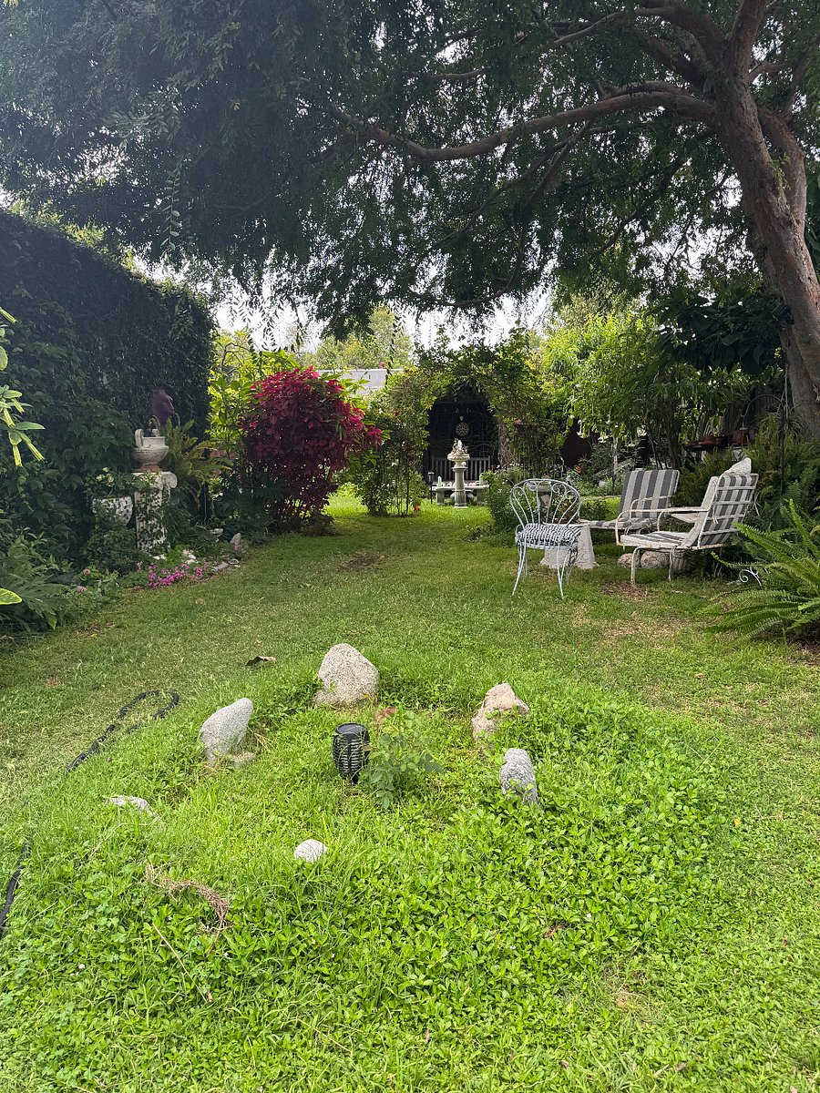 Large garden with seating