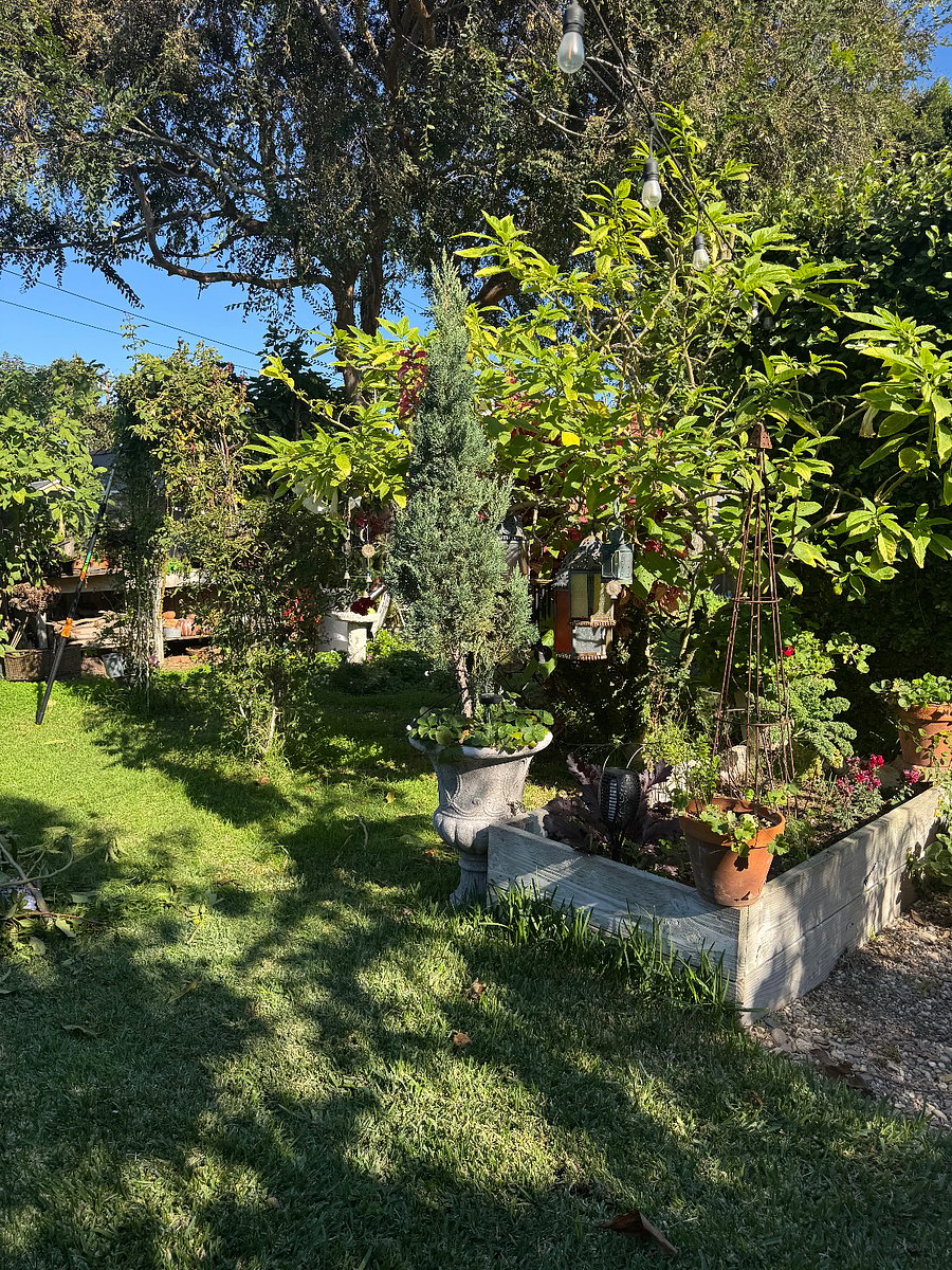 Veg Garden