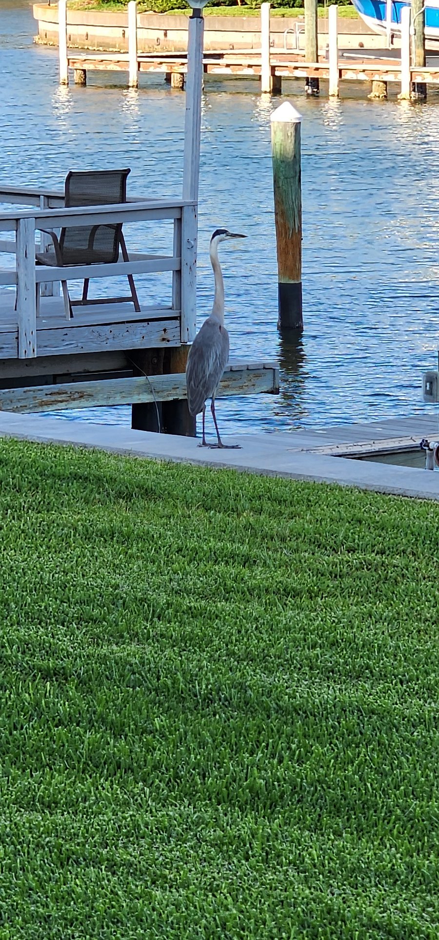 Shared Pier