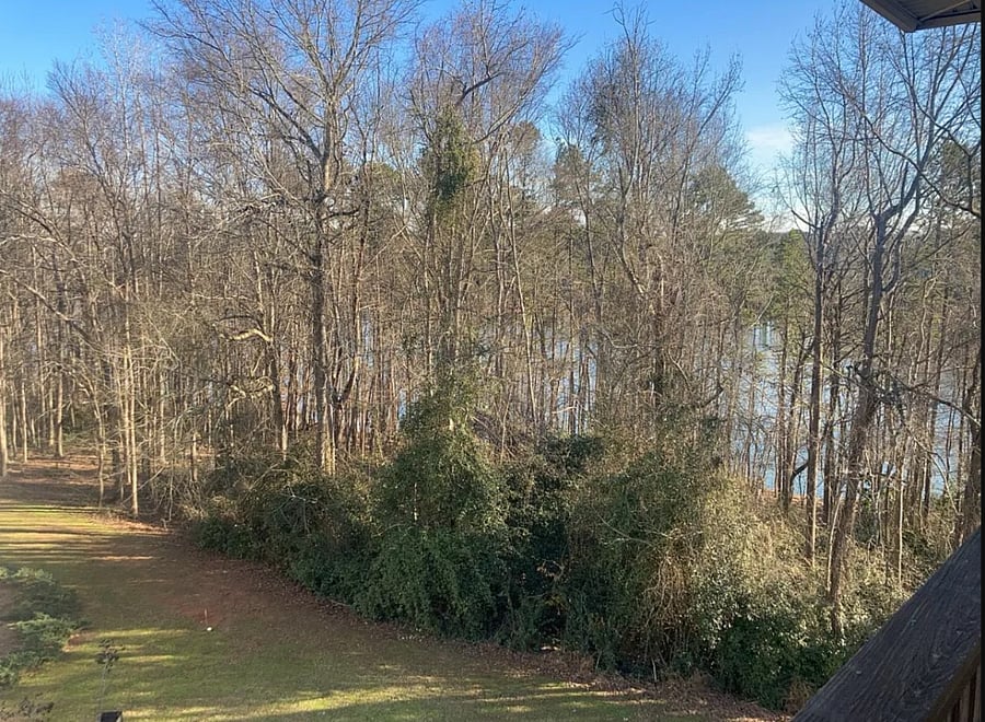 Lake Front View from Patio Deck