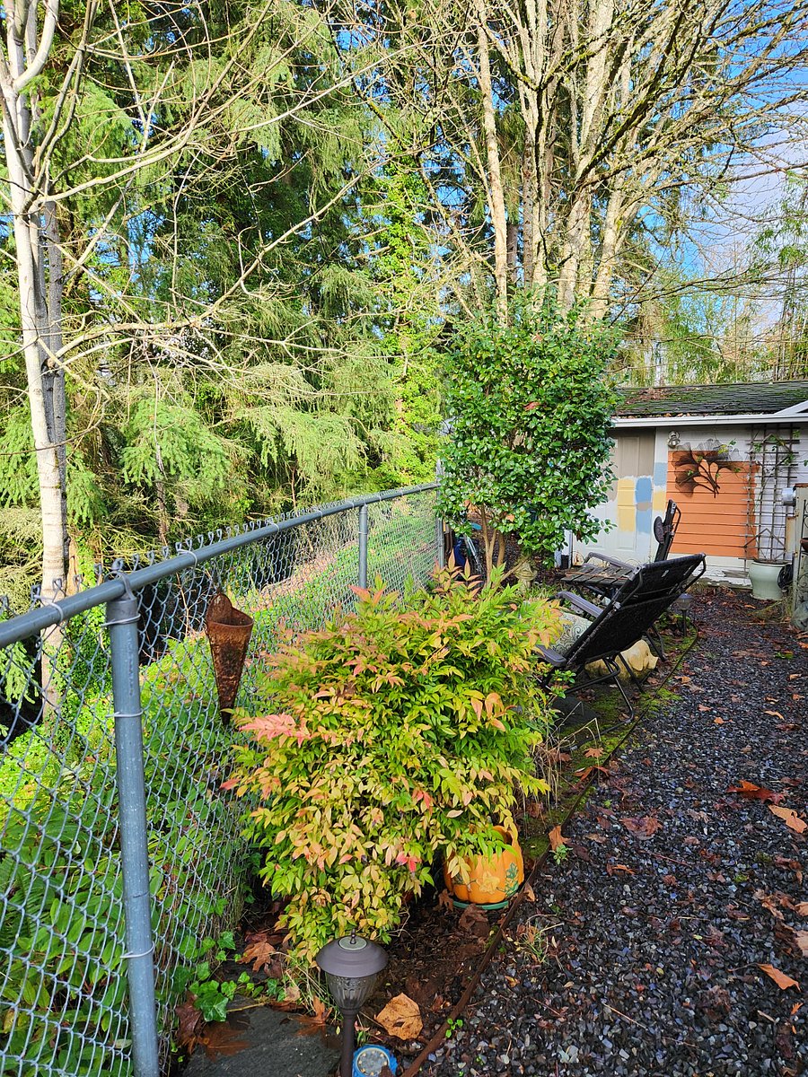Furnished Finder property 942803_1 photo 17