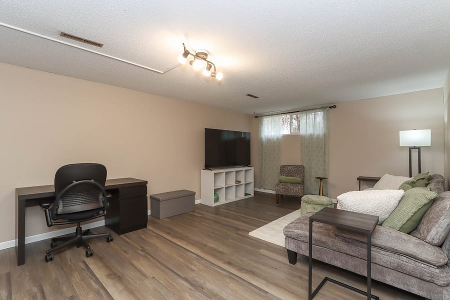 Family Room (Basement)