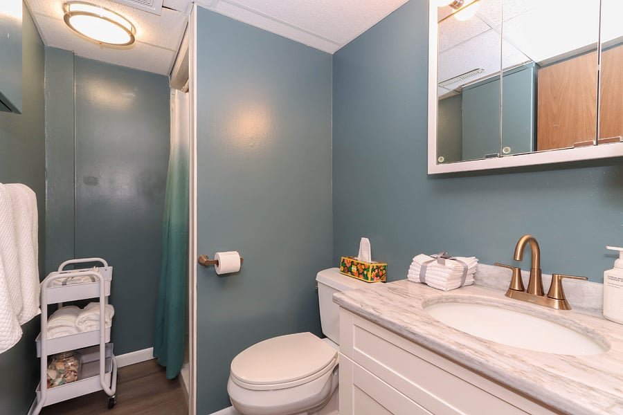 Basement Bahroom with shower, right across the hall from basement bedroom