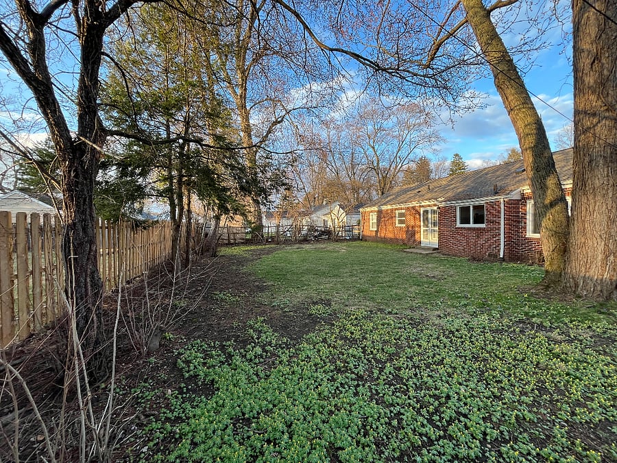 Backyard