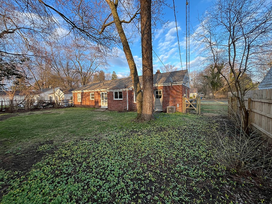 Backyard