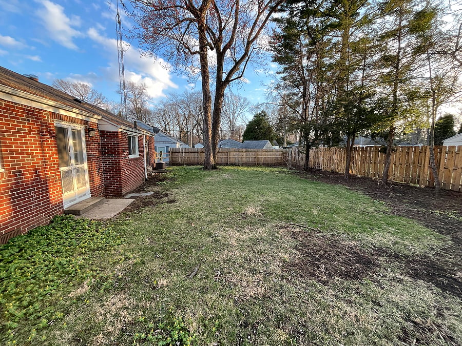 Backyard