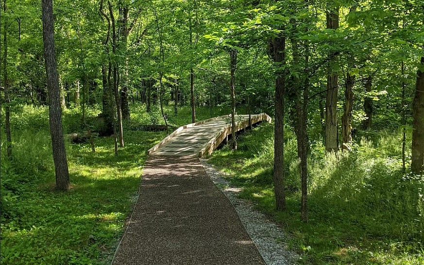 Collier Preserve - Walking Trails