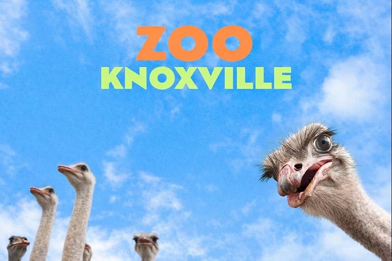 Knoxville  Zoo