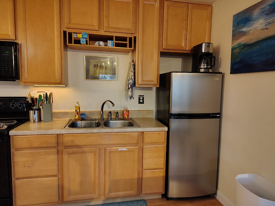 apt sized fridge, garbage disposal, coffee maker, etc