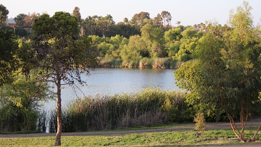 1.5 miles to the gorgeous 500 acre Guajome Regional Park and campground for hiking, biking, and nature viewing.