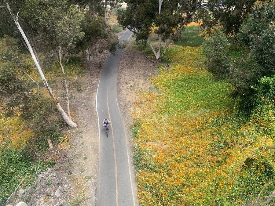 2 miles to the access point for the San Luis Rey River Trail route to the beach.