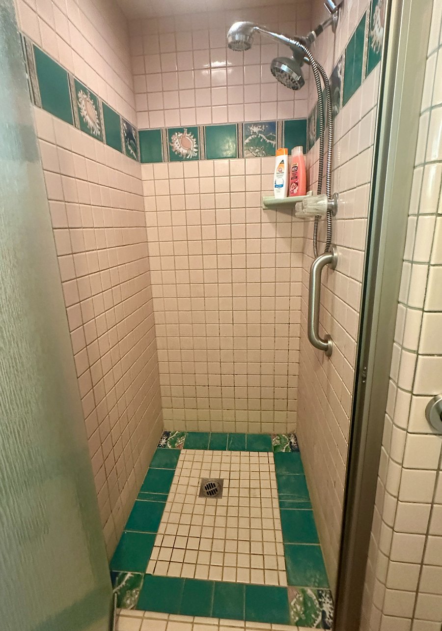 Hand painted tiles and dbl shower faucet