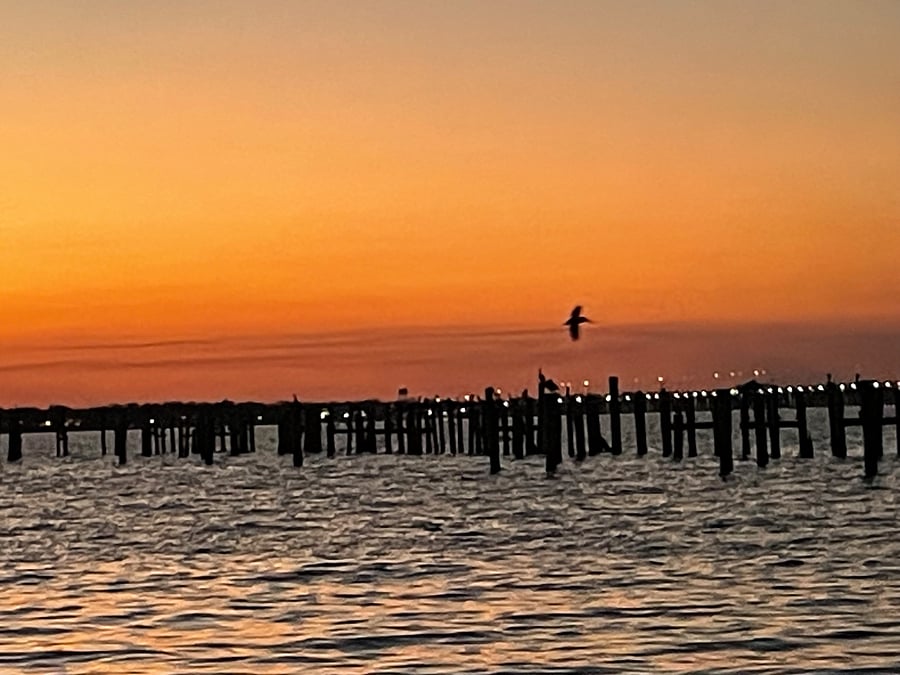 Furnished Finder property 943631_1 photo 12