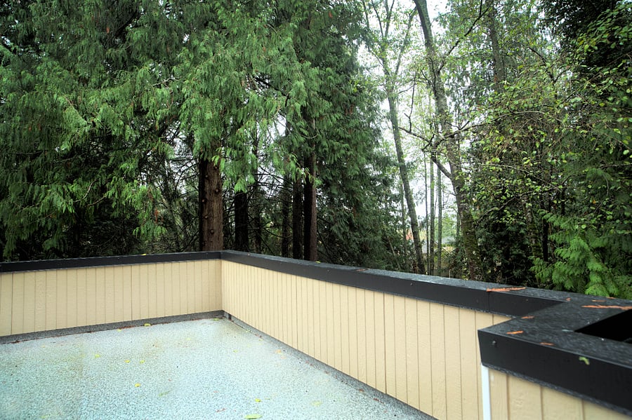Penthouse roof