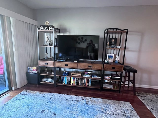 Entertainment center
