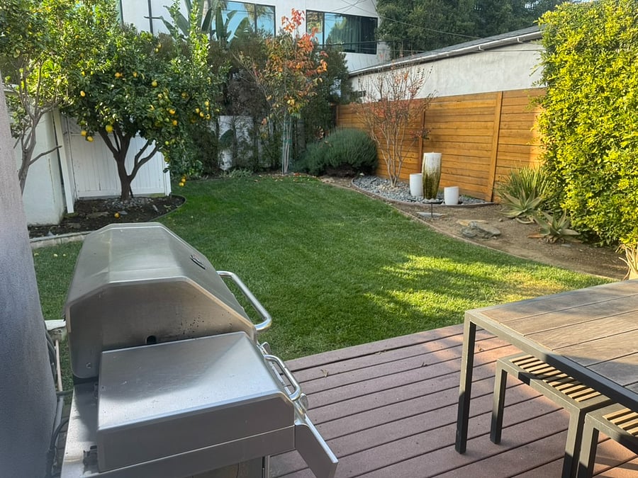 out the back door to shared patio/bbq/yard area