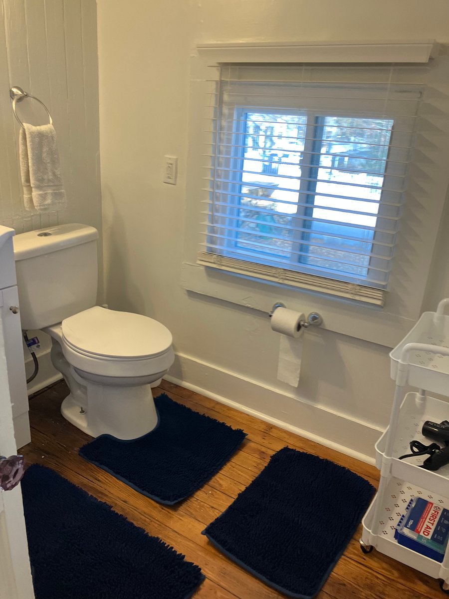 Recently renovated bathroom; original clawfoot tub.
