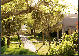 Enjoy 9 acres of landscaped grounds in the Fort Marcy compound
