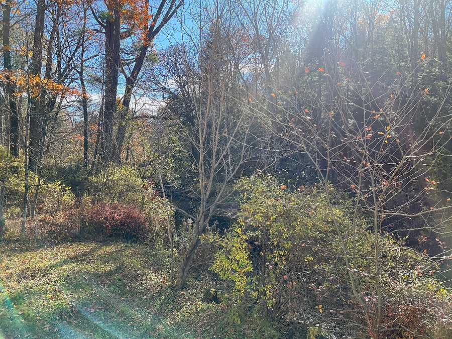 Furnished Finder property 944841_1 photo 24