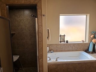 King bathroom shower and tub