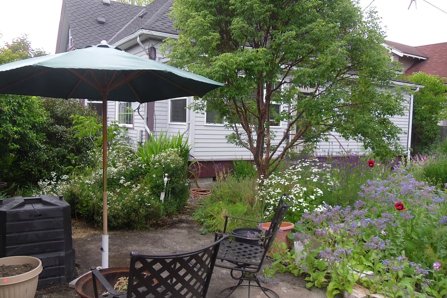Backyard