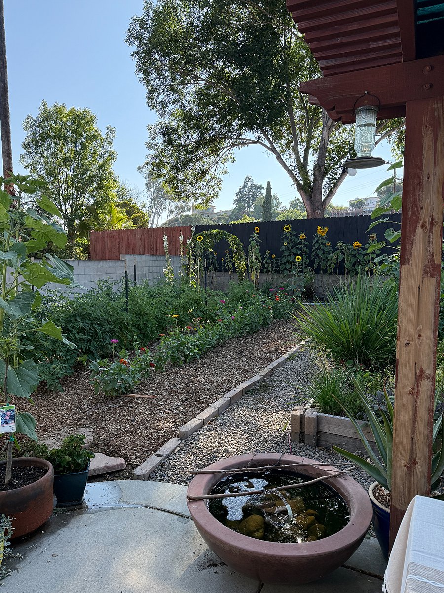 I grew 28 tomatoes this past summer - we had pizza parties and made sauce for pasta too.