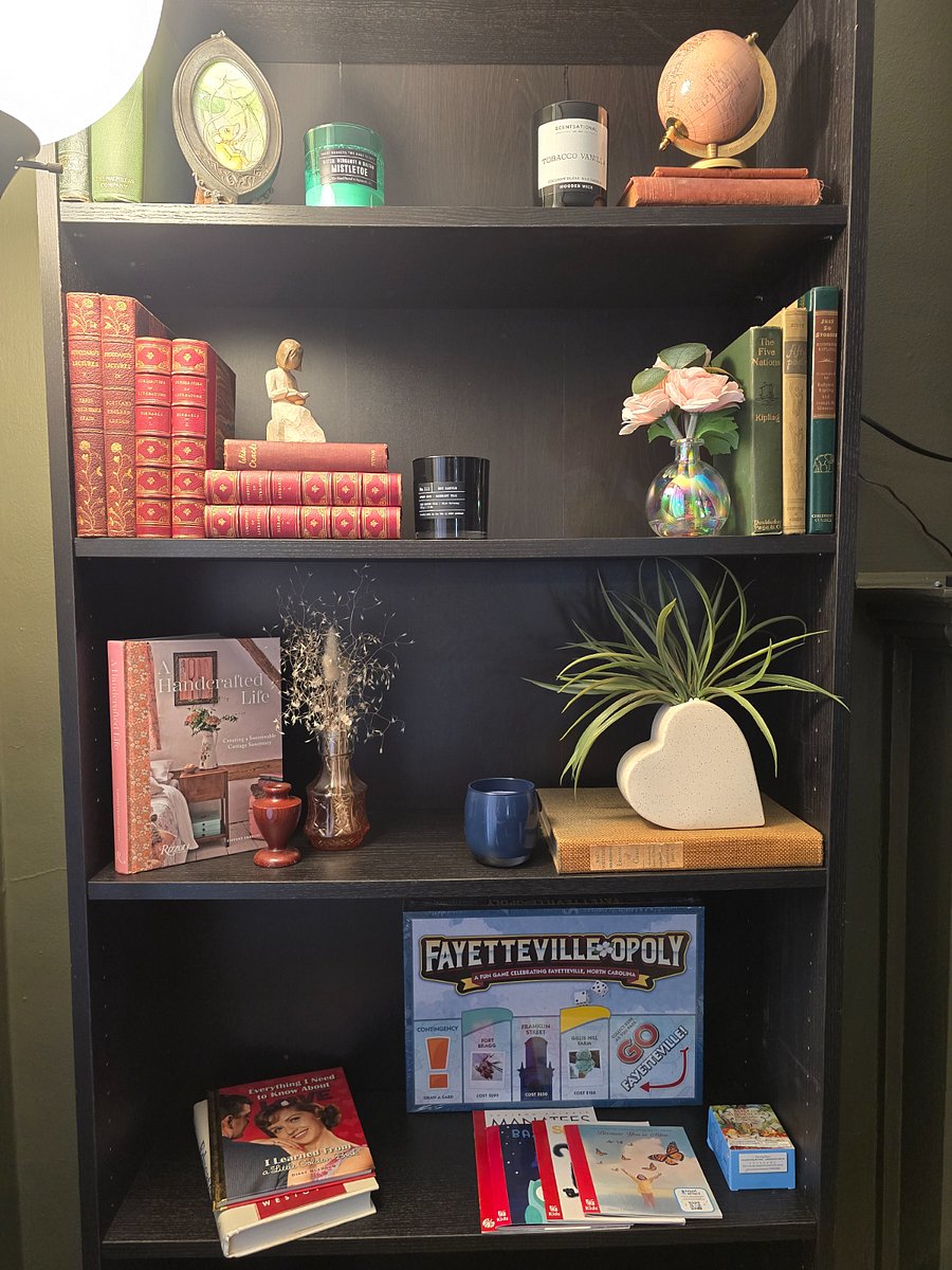 Living room - peaceful bookshelf vibes