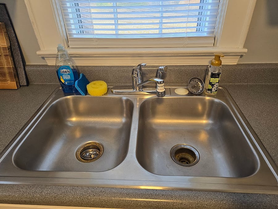 Kitchen - Dawn dish soap and starter sponge