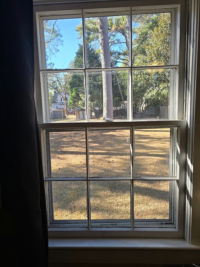 Backyard views