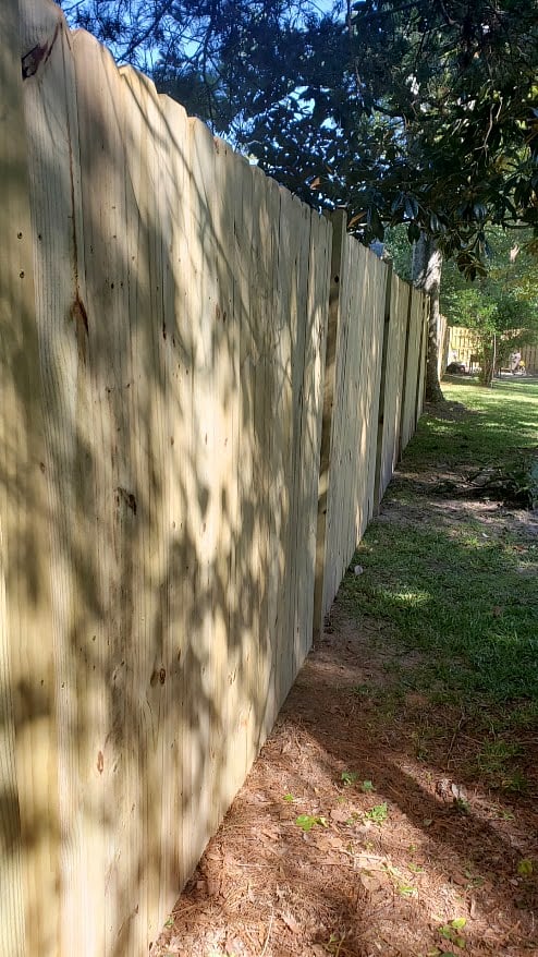 Fence in backyard