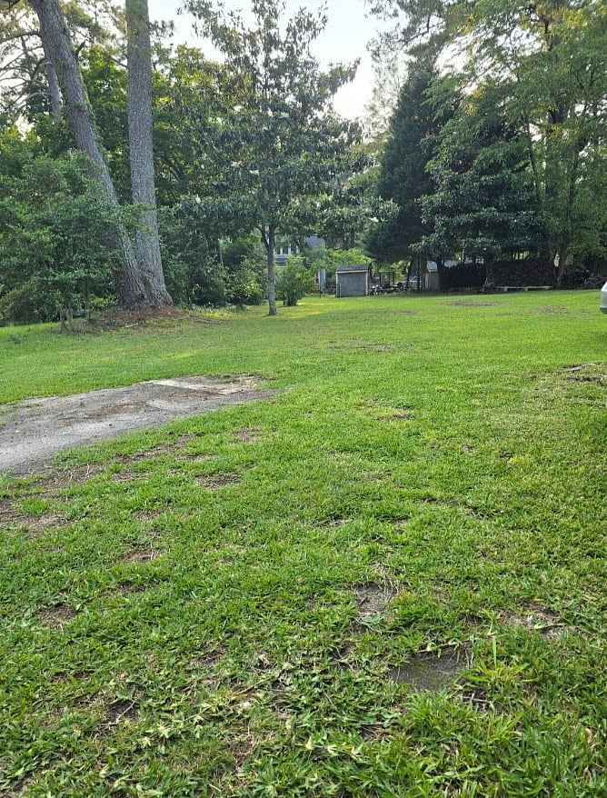 Backyard views