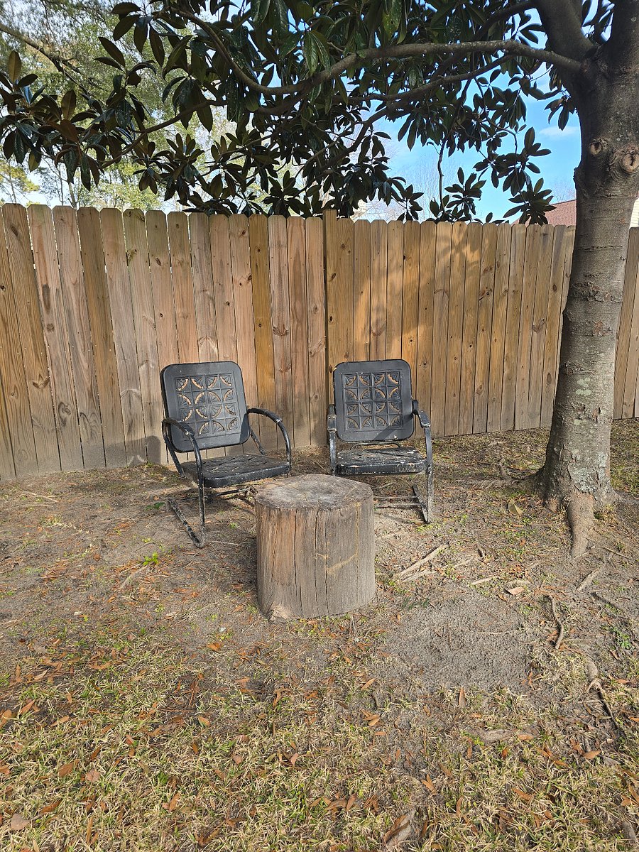 Back yard - relaxing and peaceful sitting area under a beautiful magnolia tree