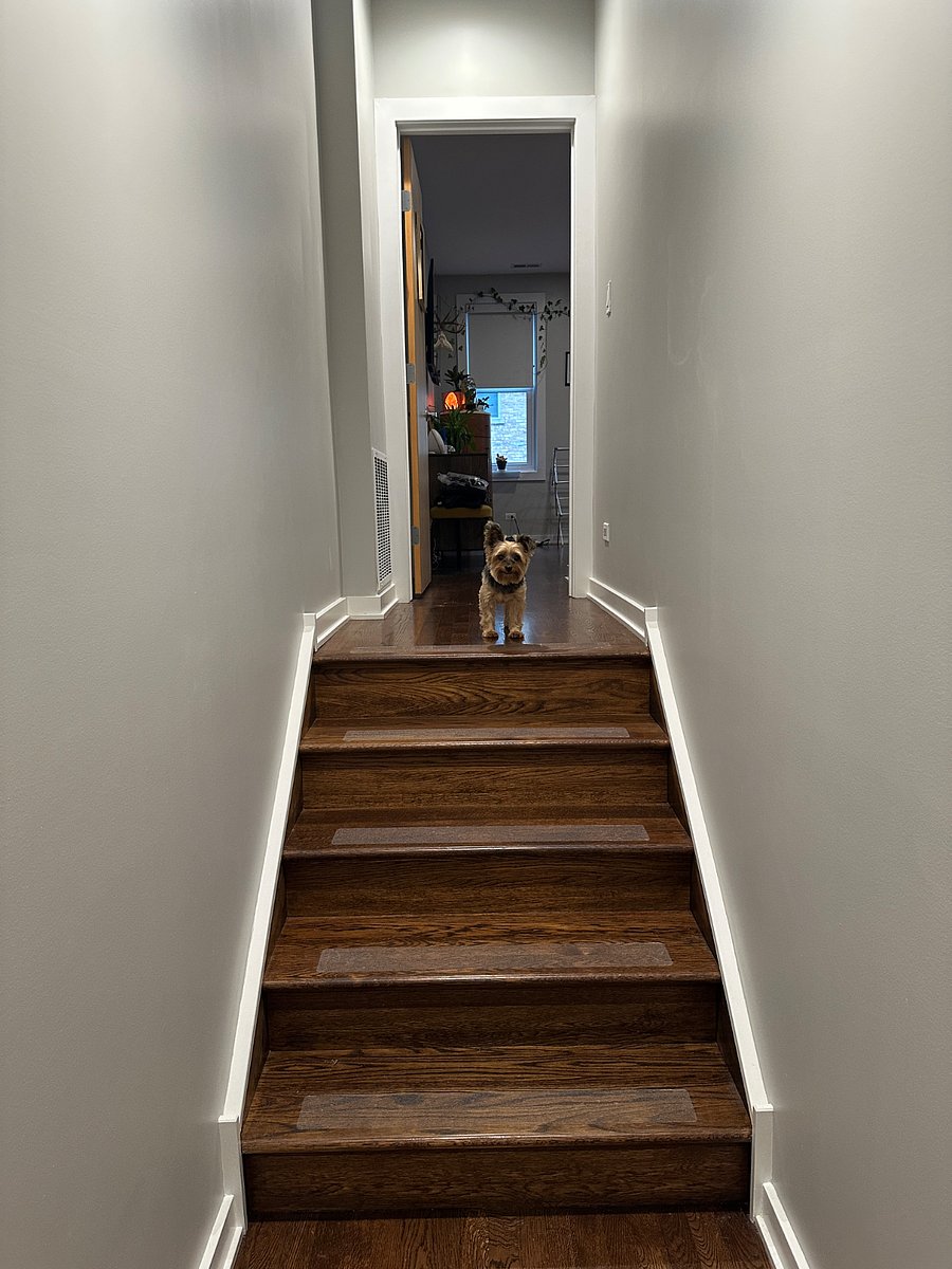 Entrance to en-suite bedroom + Giuseppe!