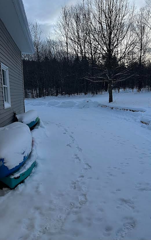 Lastly, The Lodge comes with its own private parking space for 1-2 vehicles to the left side of our house.