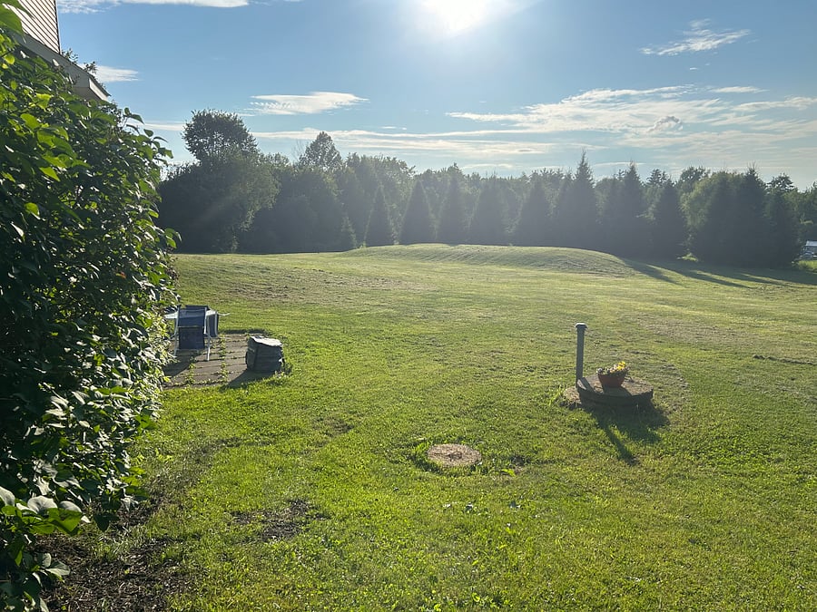 Guest back yard