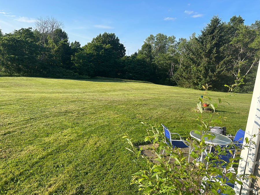 Expansive back yard directly in front of private outdoor patio 
