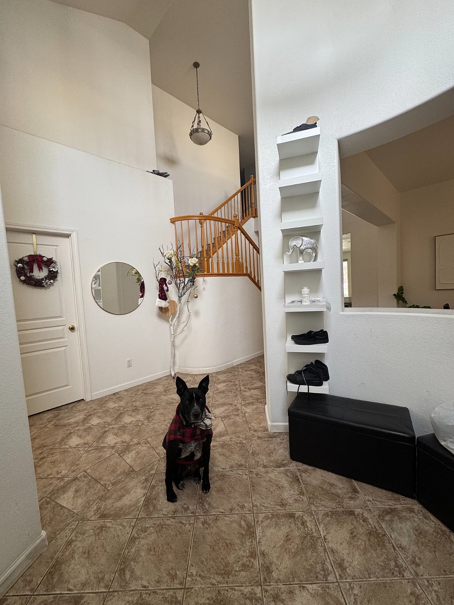 Entrance with Shoe wall