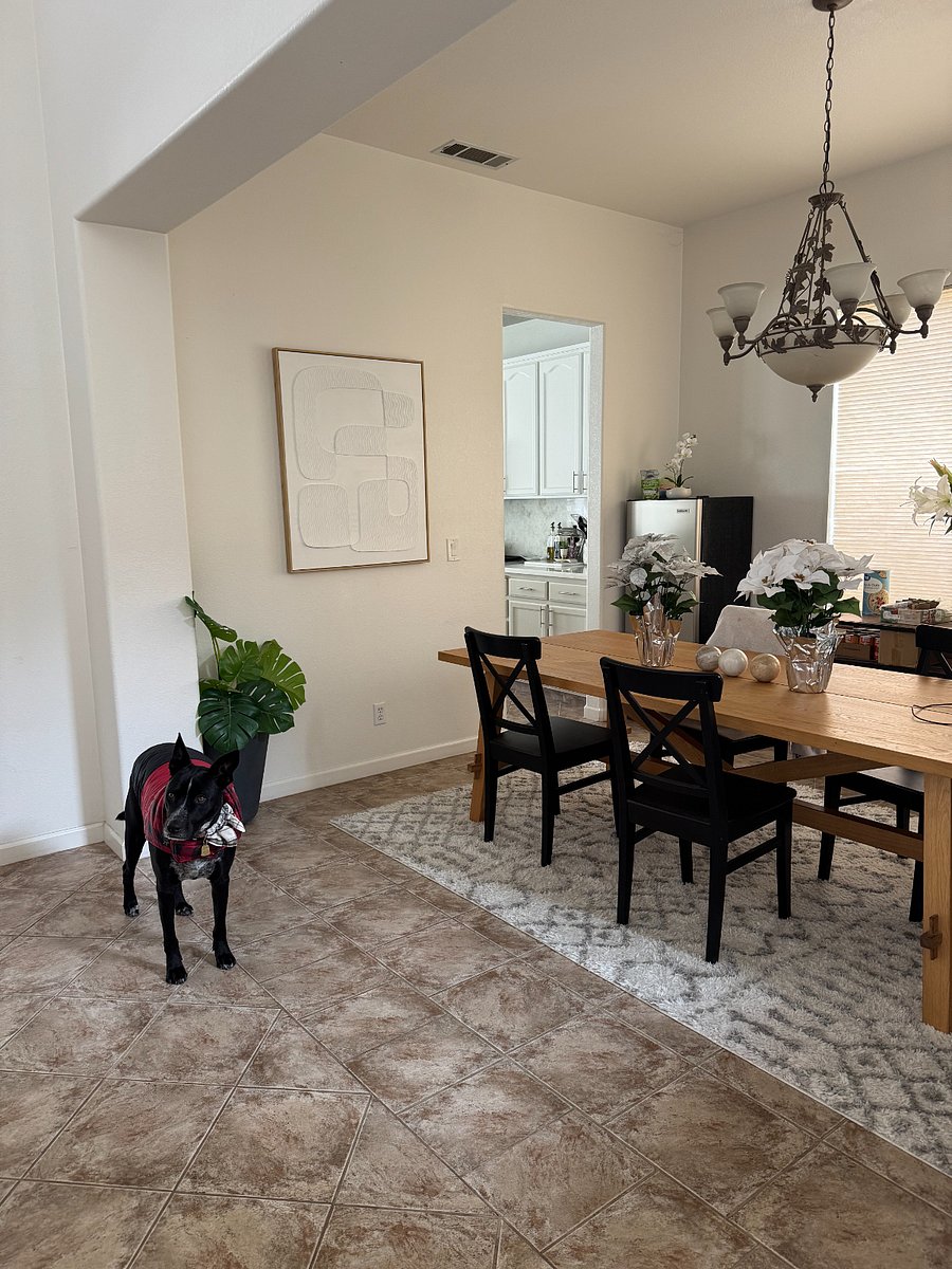 Shared Dining Table/Work table