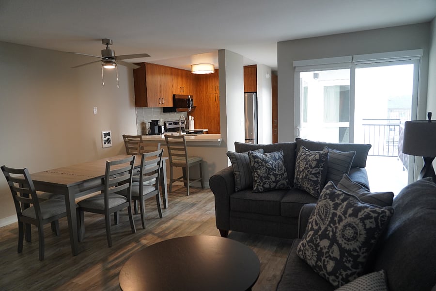 All new, fully equipped living room furniture 