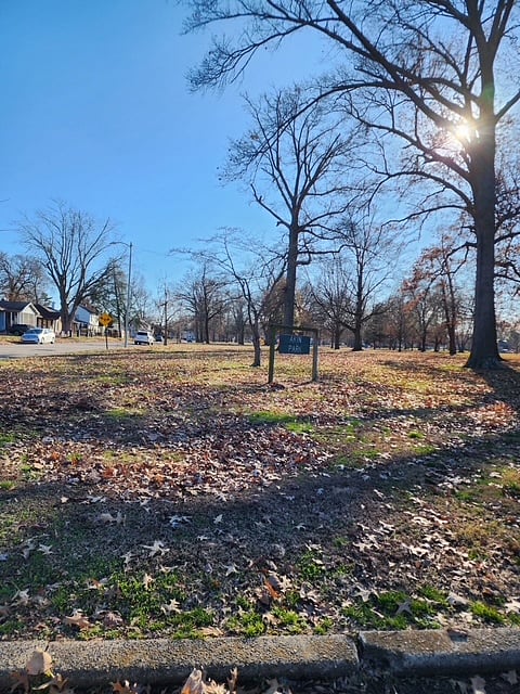 Akin Park down the street. Perfect for exercise and dog walking.