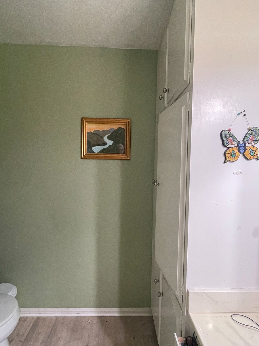 Your large bathroom.