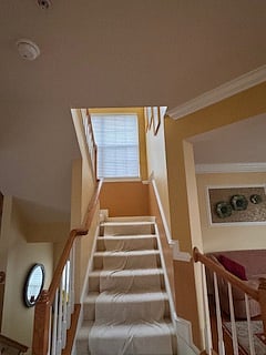 Furnished Finder property 945815_1 photo 8