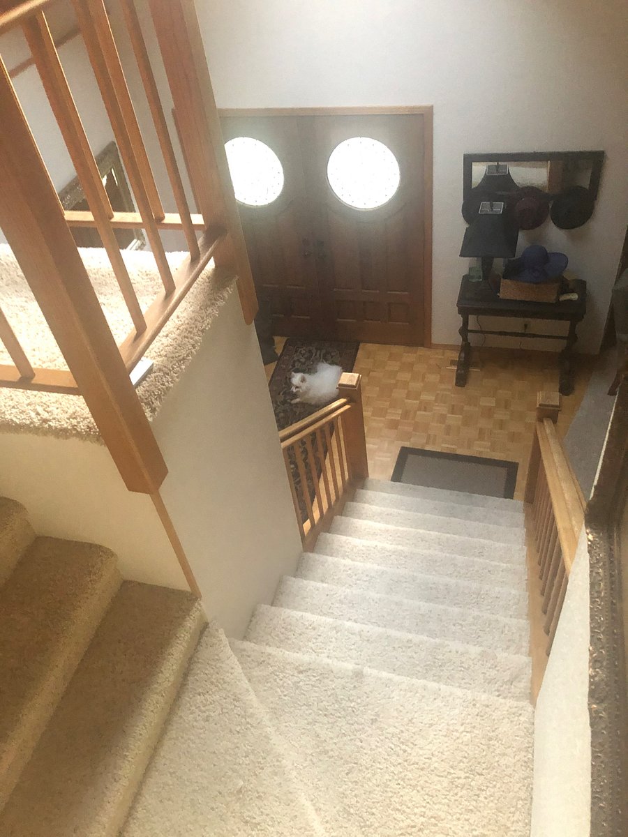 Furnished Finder property 945822_1 photo 10