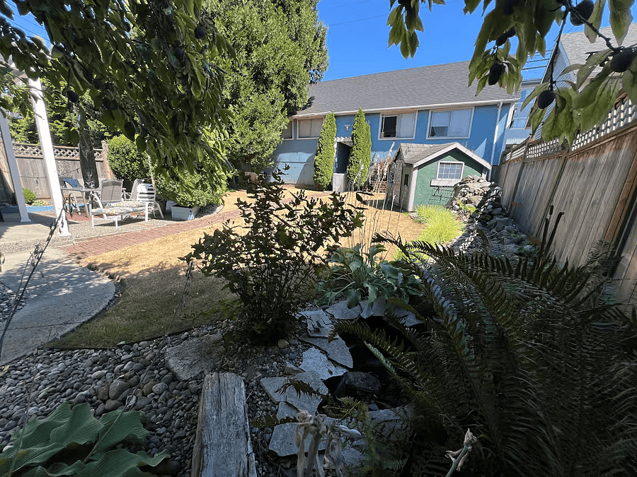 Backyard with Pond