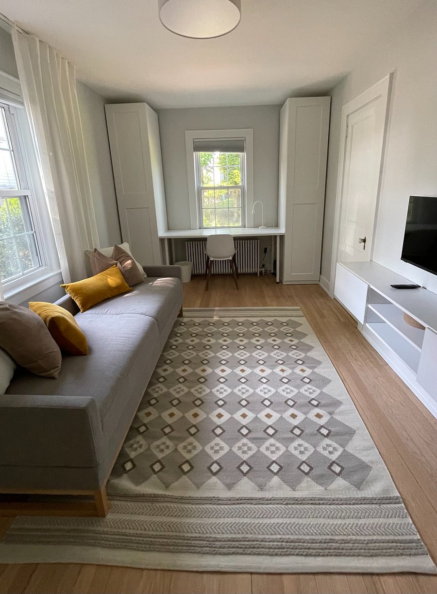Bedroom 2- TV sleeper couch & workspace. Highspeed internet