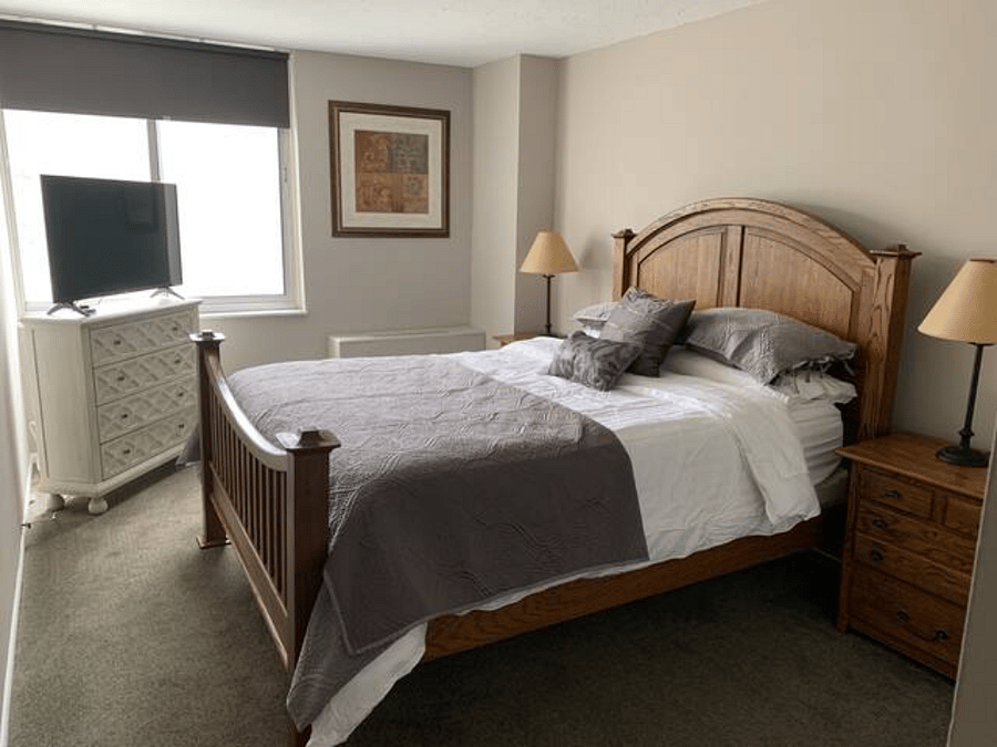 Queen Bed with two end tables for extra storage. A smaller dresser and a closet to the right. 