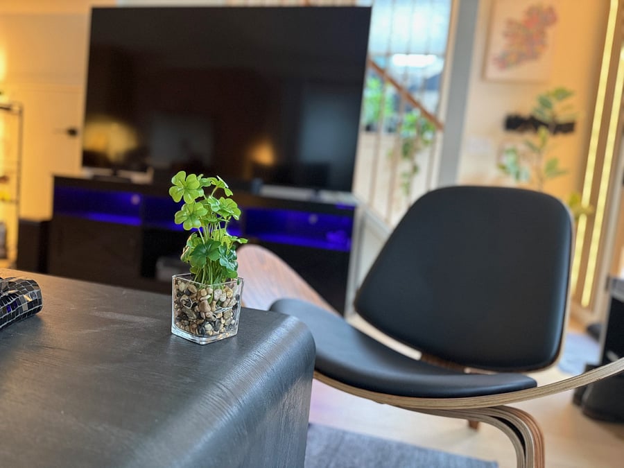Modern Chair