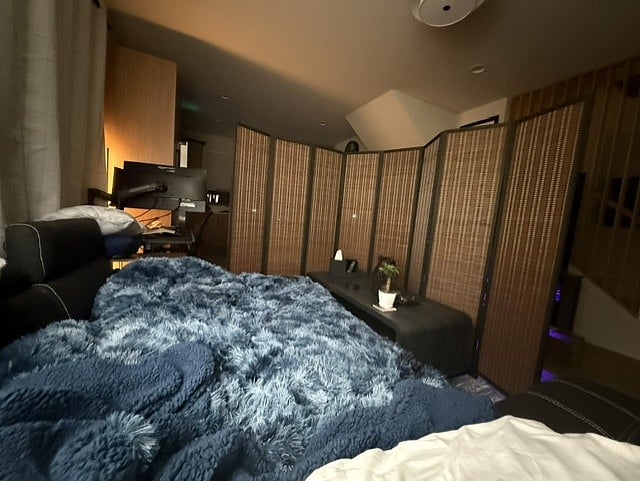pull out bed and room divider