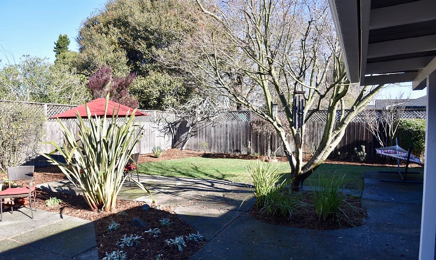 Back yard view