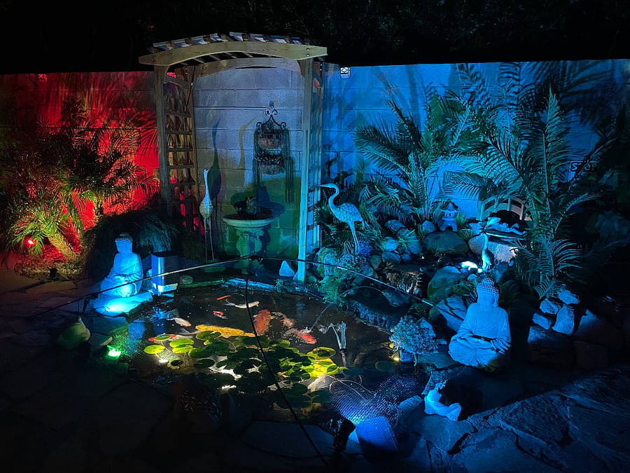 Koi pond at night